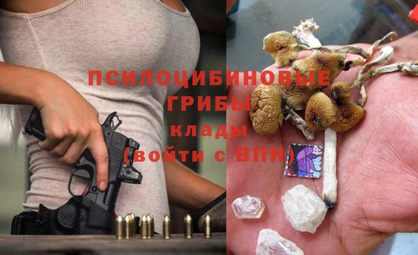 дмт Абаза