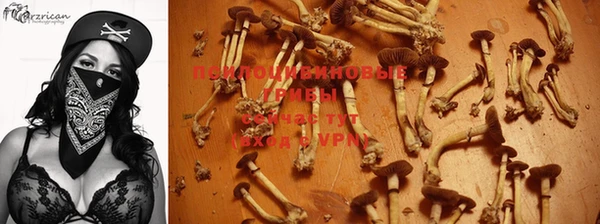 каннабис Абинск