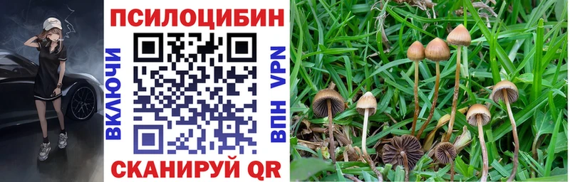 Галлюциногенные грибы Magic Shrooms  где найти наркотики  Мурино 